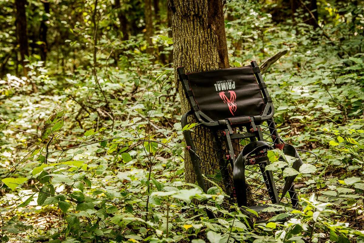 The Worst Trees for Treestands - Realtree Camo