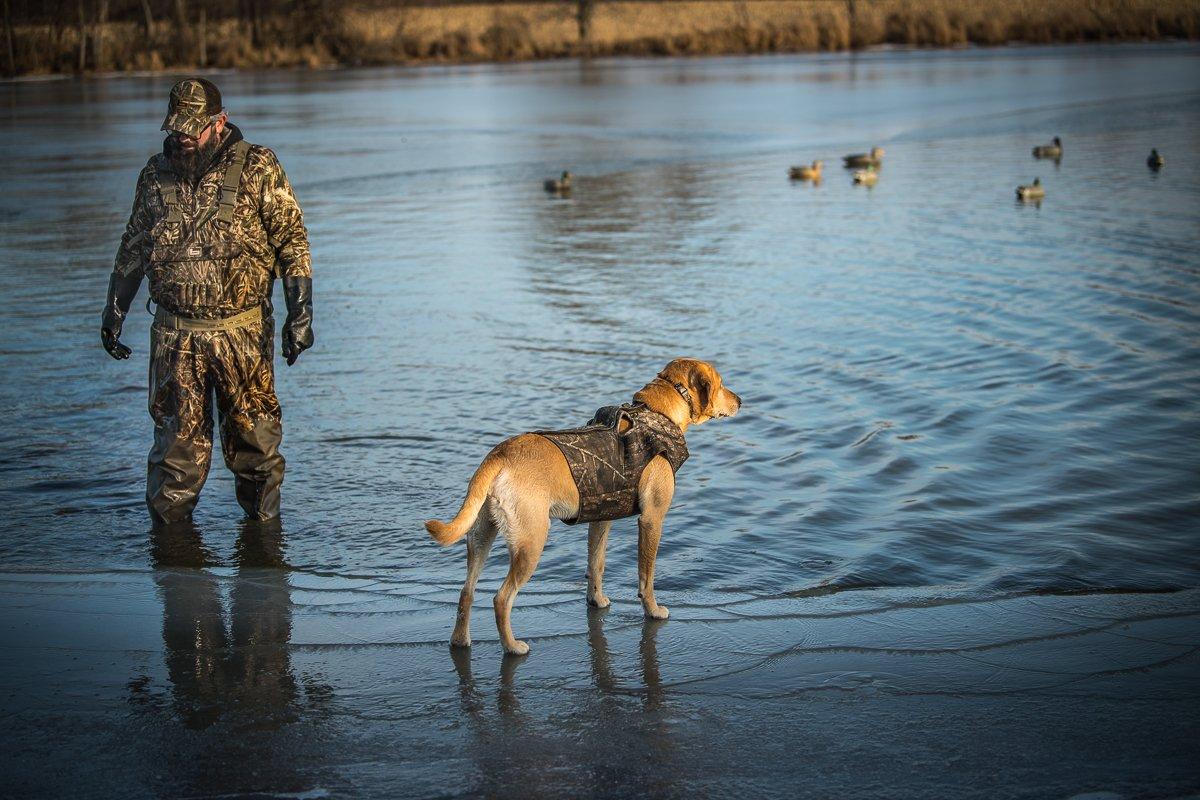 Late-season thaws often push ducks back to previously frozen areas. Take advantage of these returning birds. Photo © Bill Konway