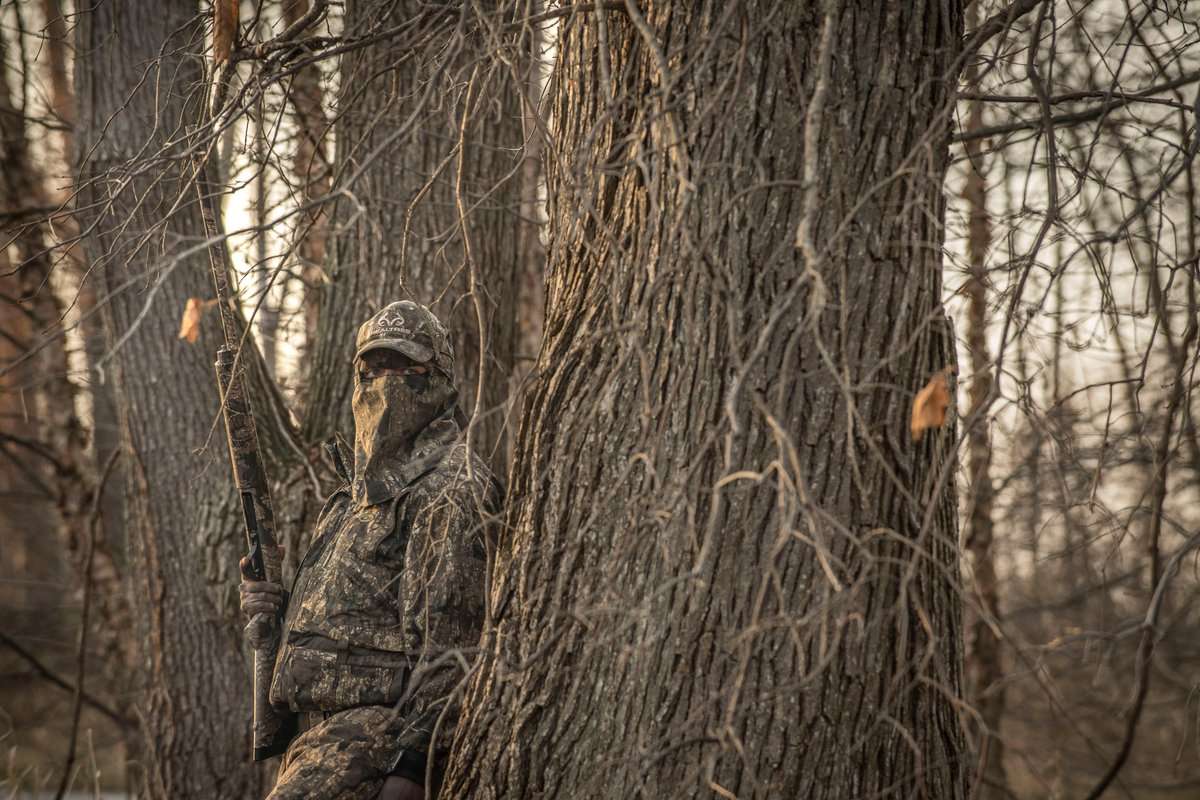 Stale birds and poor hunting have ruled ruled thus far in 2018-'19. Photo © Bill Konway