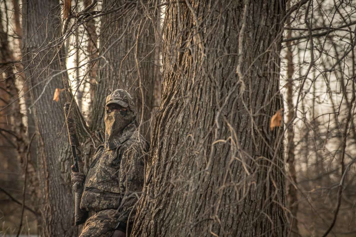 Stale birds and poor hunting have ruled ruled thus far in 2018-'19. Photo © Bill Konway Stale birds and poor hunting have ruled ruled thus far in 2018-'19. Photo © Bill Konway