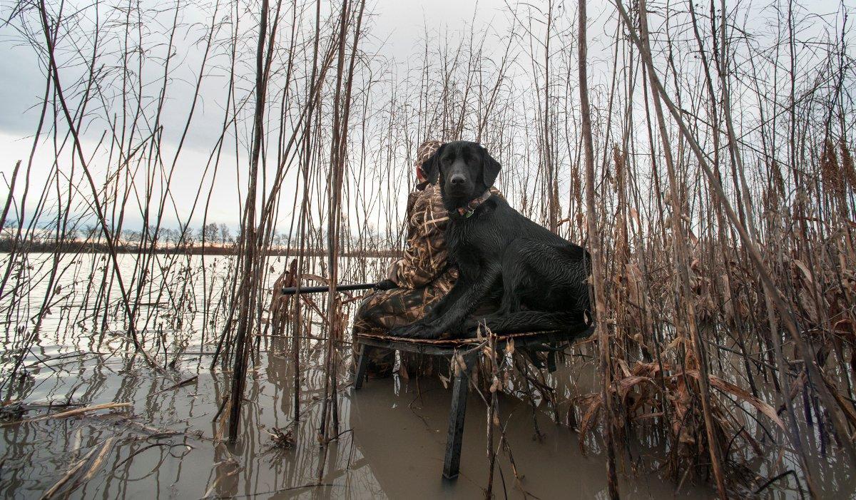 A marsh seat and dog platform keep you and your canine buddy dry and comfortable in the marsh. Photo © Bill Konway