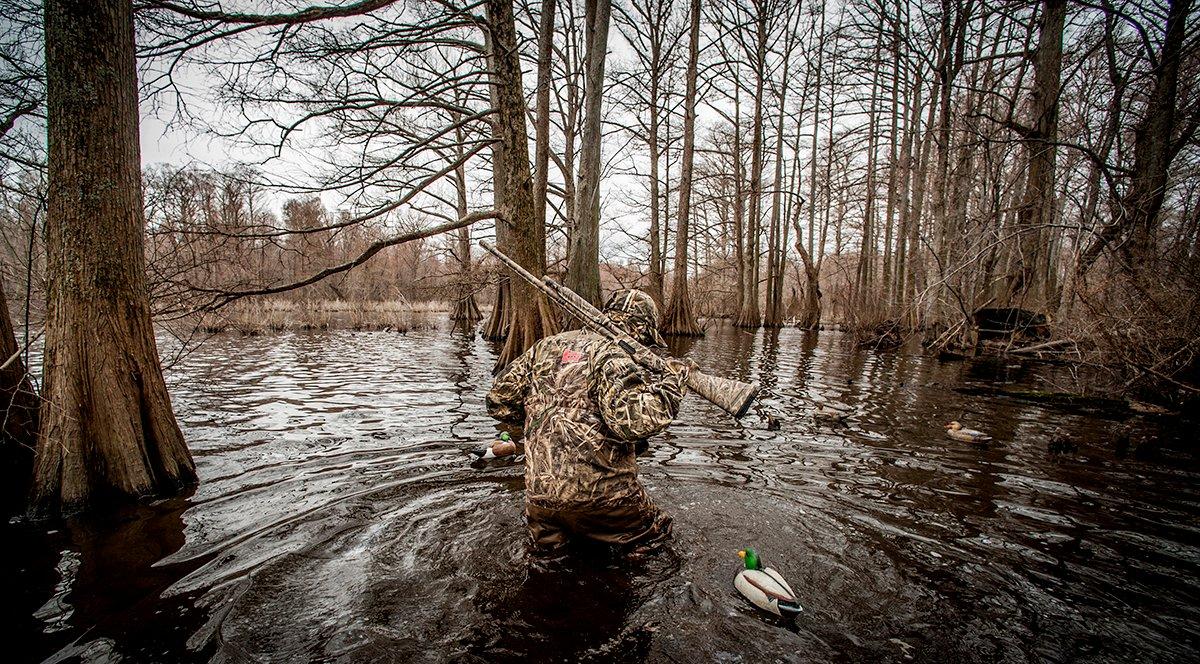 Ducks — especially mallards — love flooded timber for loafing and protection from wind and cold. Photo © Bill Konway