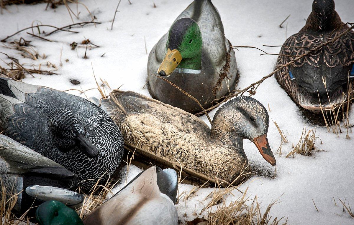 It's tempting to rest on your laurels late in duck season. However, it's more satisfying to make a final push to the end. Photo © Bill Konway