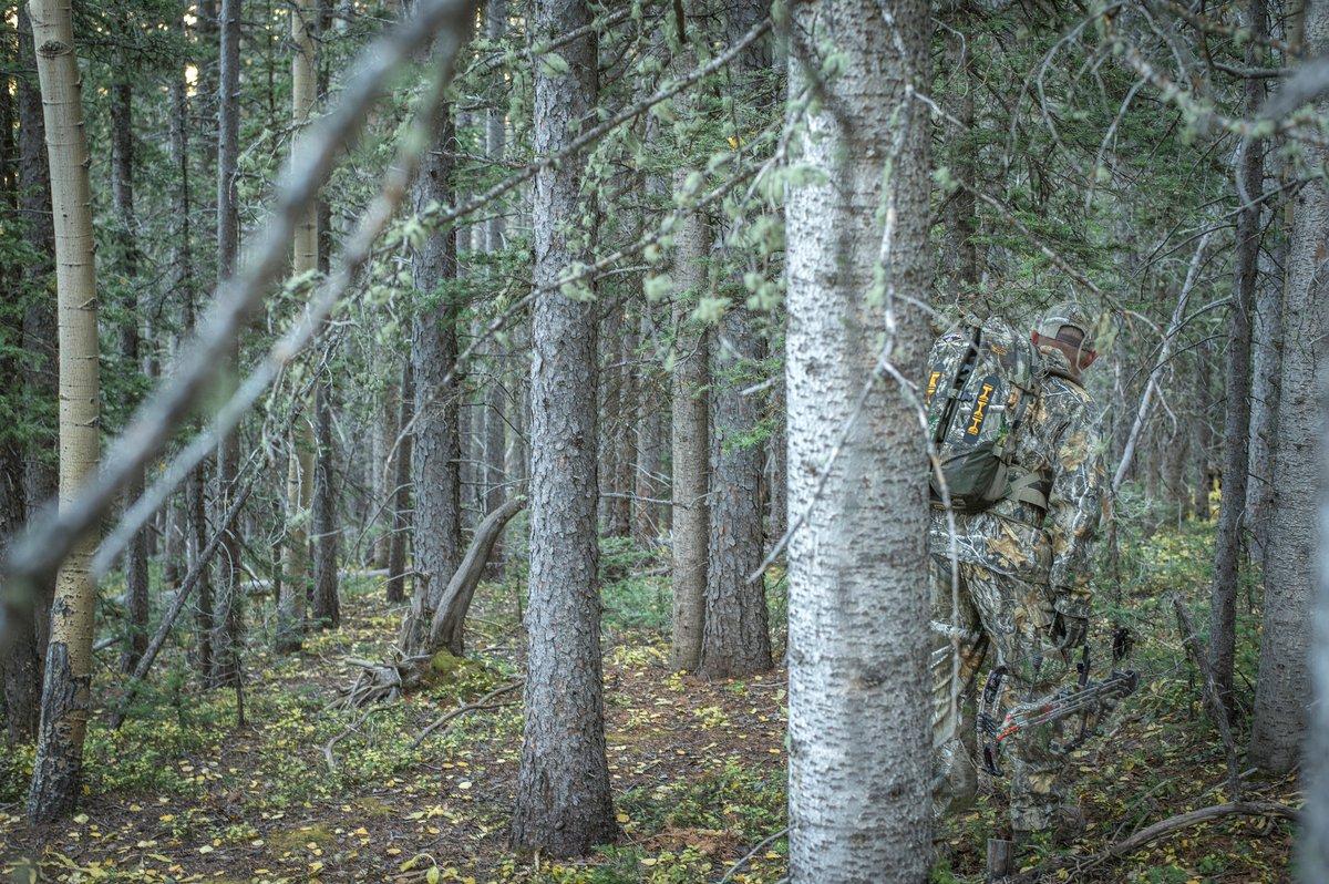 Have you ever trekked into the backcountry alone? (Bill Konway photo)