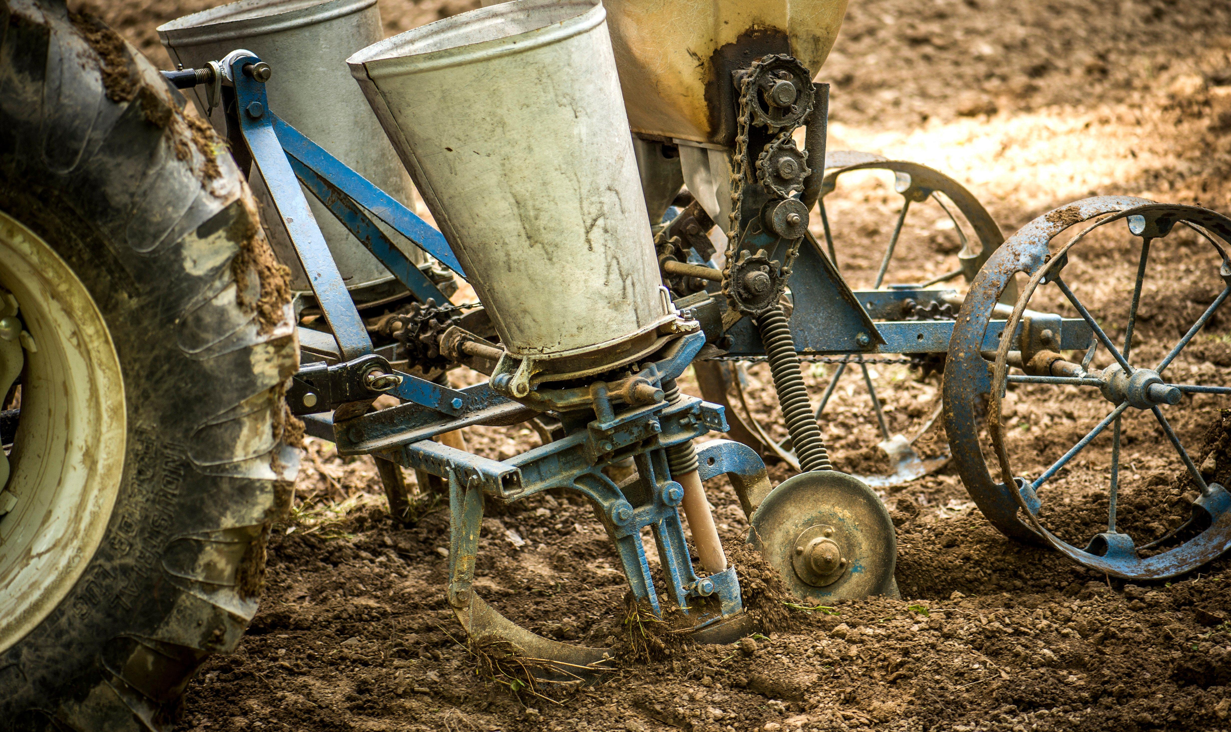 Soil type, climate, and the availability of other food sources in your area should factor into your planting decisions. (Bill Konway photo)