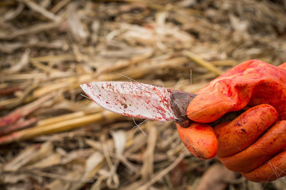 Use a sharp knife, and work with the edge-side up. (Bill Konway Image)