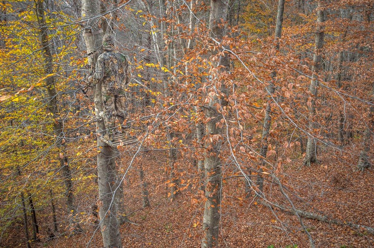 Be in a tree November 3-11. It's the best week of the rut. (Bill Konway photo)