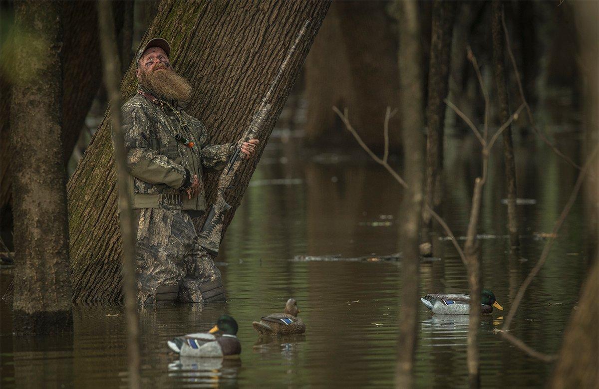 Some folks say you've never truly chased ducks until you've hunted green timber. The author might be inclined to agree. Photo © Bill Konway