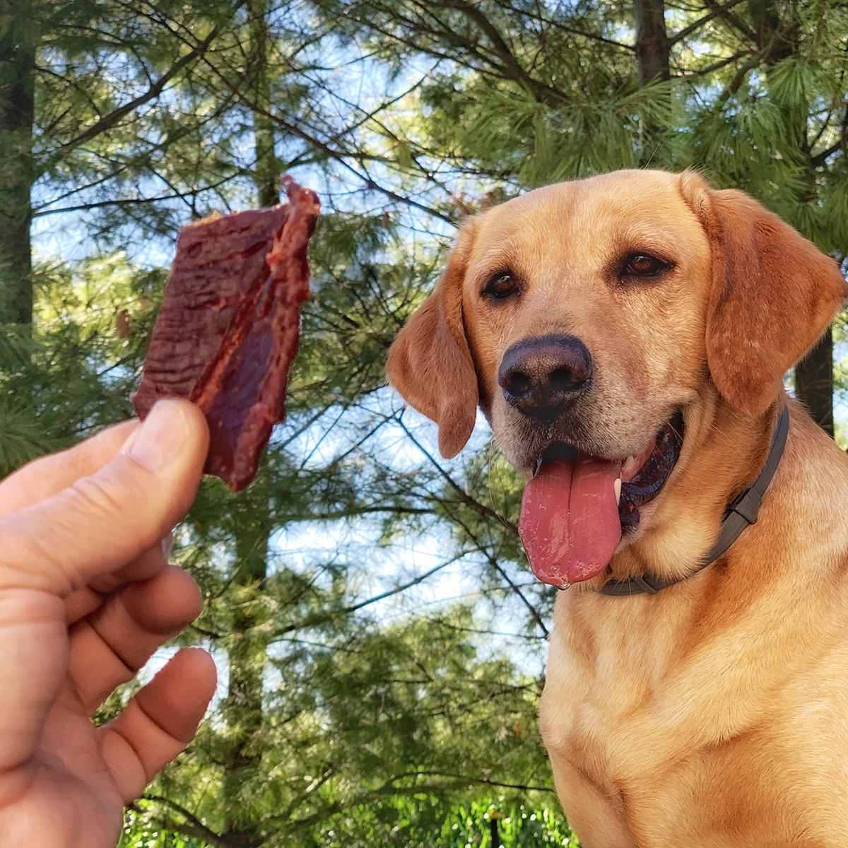 Make your best friend happy with homemade dog treats. (Bill Konway Image)