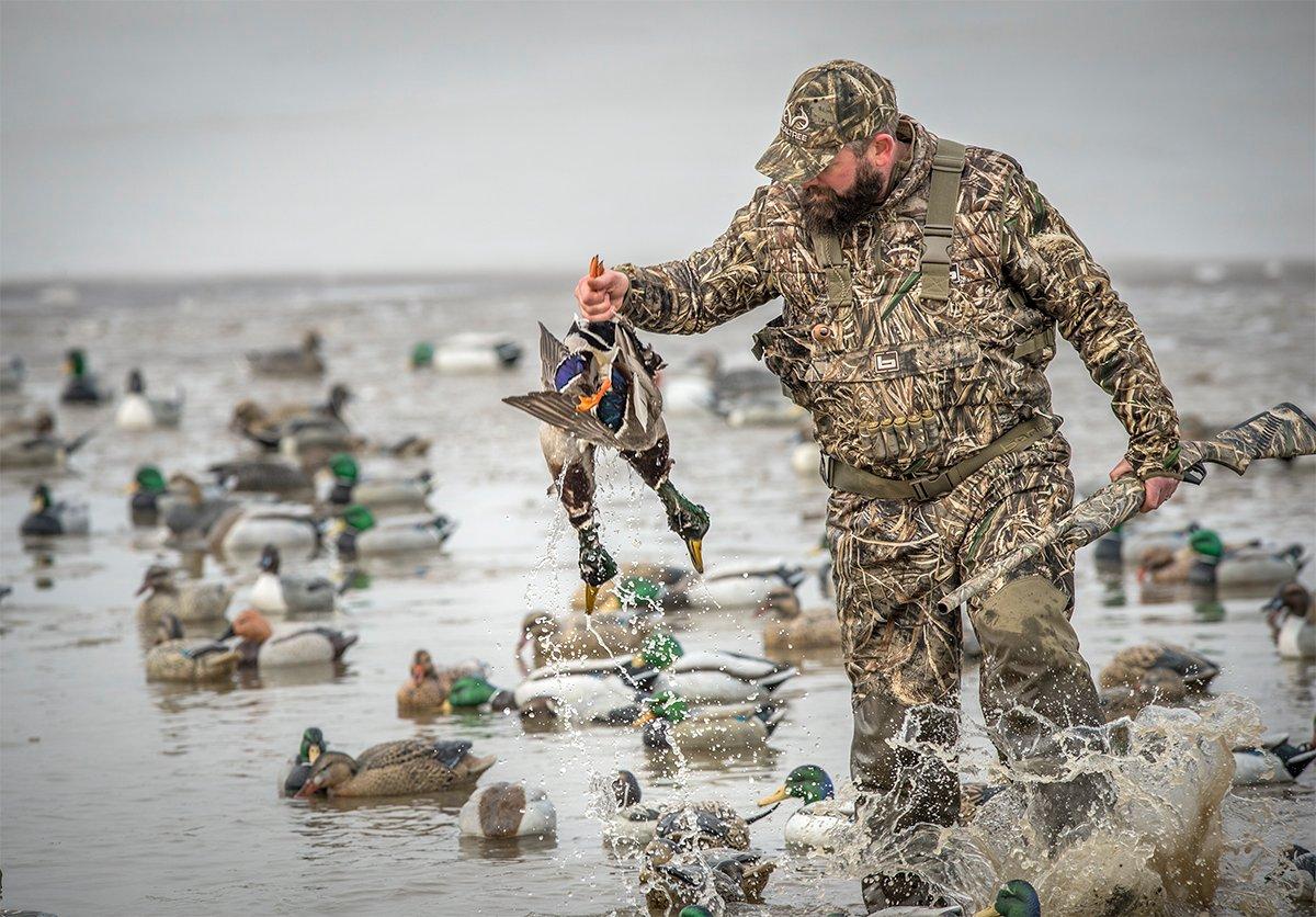 December: Mallards and Honkers