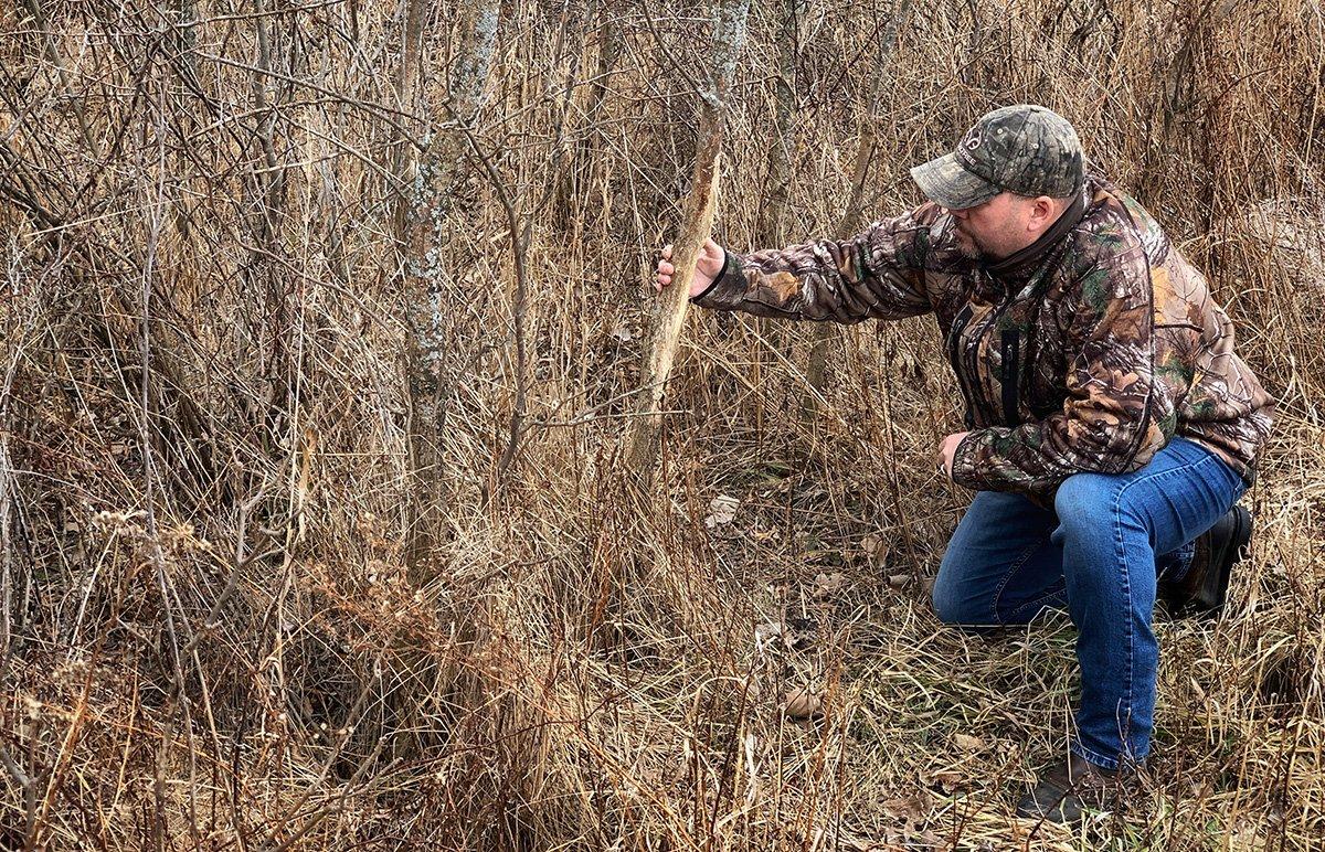 Back-track good trails and look for buck sign made last fall. Image by Bill Konway