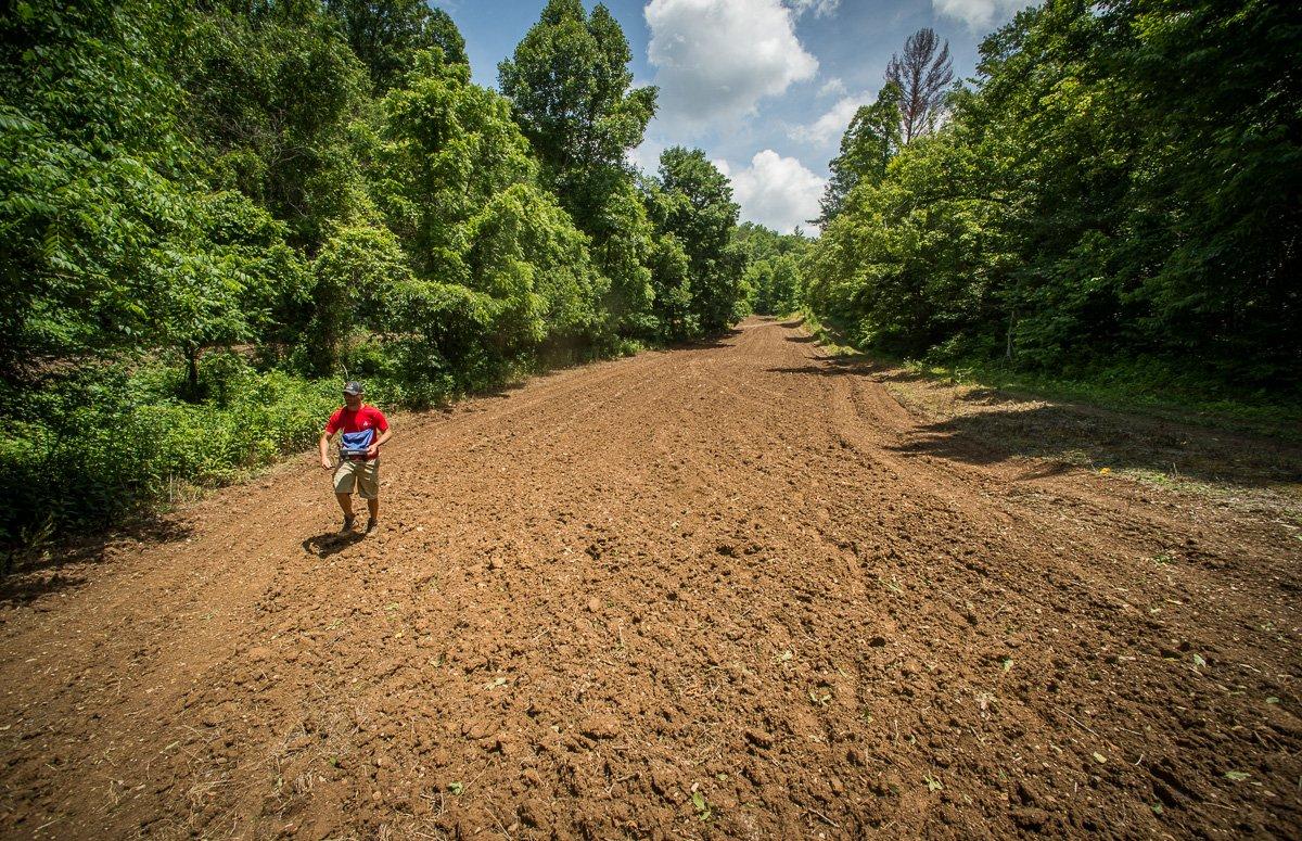 Choose a food plot variety that's best suited for your deer and deer hunting. (Bill Konway photo)