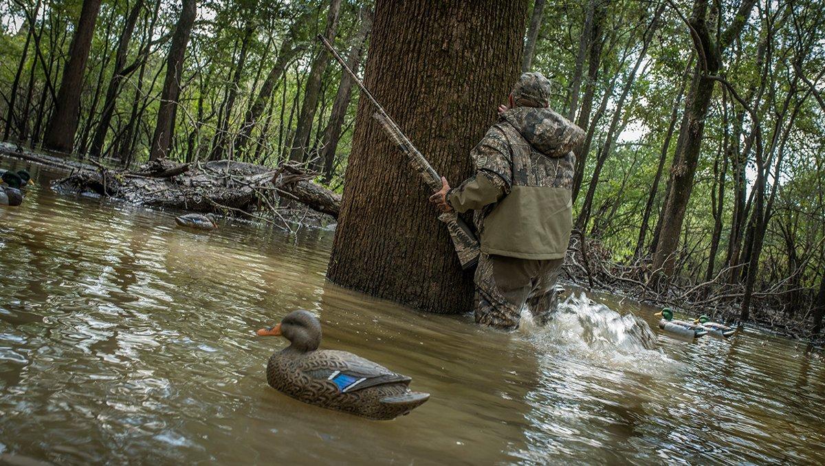 Every duck hunter dreams of hunting flooded timber, but the game has many challenges. Photo © Bill Konway