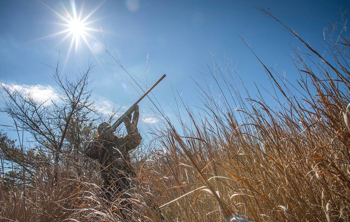 Most hunters hit the marsh or fields early, but mid- or late-day hunts can work well in many situations. Photo © Bill Konway