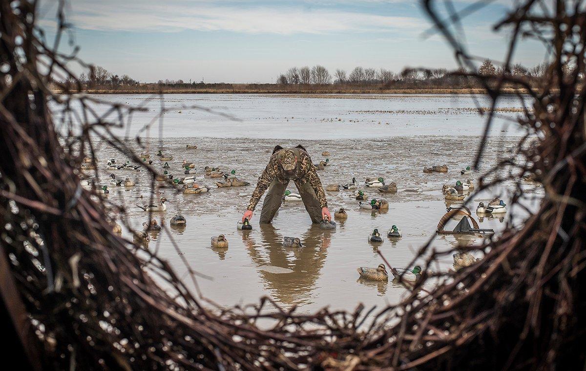 Decoys usually attract waterfowl, but only a finely crafted spread makes them want to land. Photo © Bill Konway