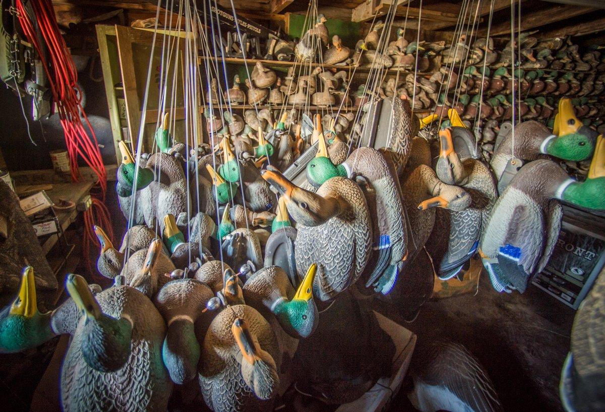 Knowledgeable waterfowl hunters wash their decoys after the season and then store them in a dry, shaded space. Photo © Bill Konway