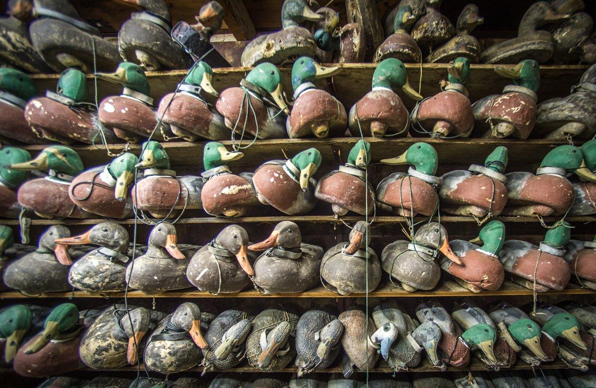 Many decoys require touch-up paint and other repairs before the season. Photo © Bill Konway