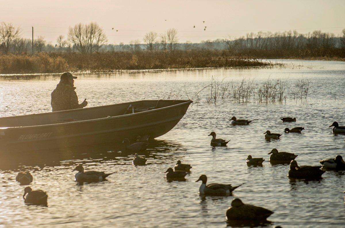 When it comes to decoys, one size doesn't fit all. Some varieties work better than others in certain scenarios. Photo © Bill Konway