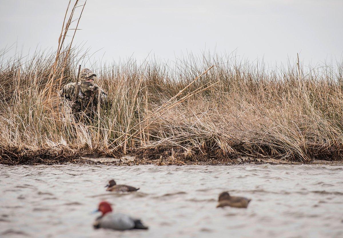 Land-Bound Ducks: Hunting Divers From Shore - Realtree Camo