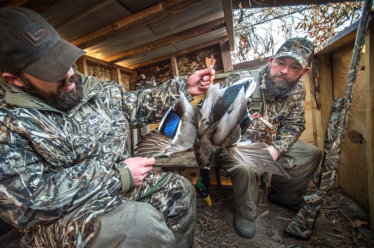 Many states have impressive annual mallard harvests, but one titan consistently tops them all. Can you guess? Photo © Bill Konway