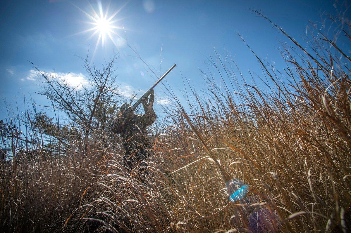 Early morning and evening get all the credit, but up-in-the-day hunts often work well. Photo © Bill Konway