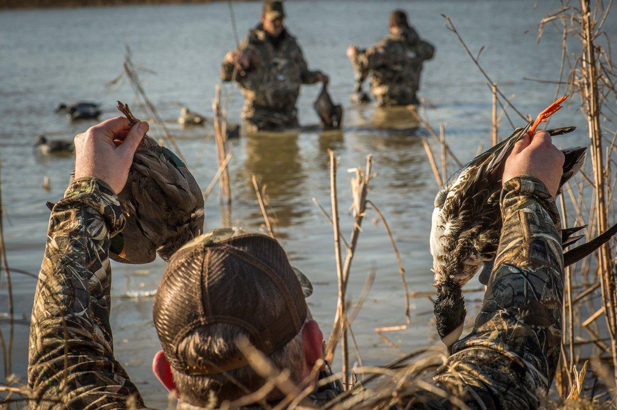 Mallards aren't the only duck in the sky. Mastering the variations of other ducks can boost your success. Photo © Bill Konway 