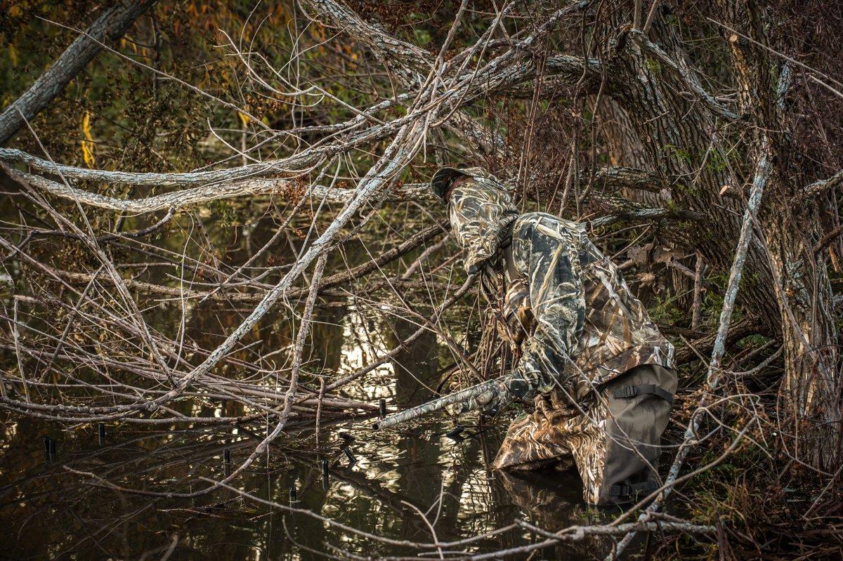 Blue-Winged/Cinnamon Teal