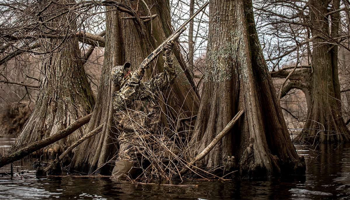 Early timber hunting reports from Missouri and Arkansas paint a promising picture. Photo © Bill Konway