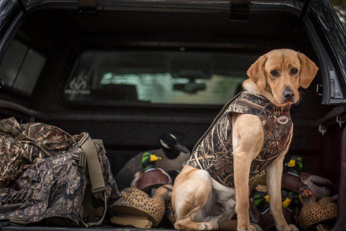 Take care of seemingly minor details now before embarking on the duck or goose hunting trip of a lifetime. Photo © Bill Konway