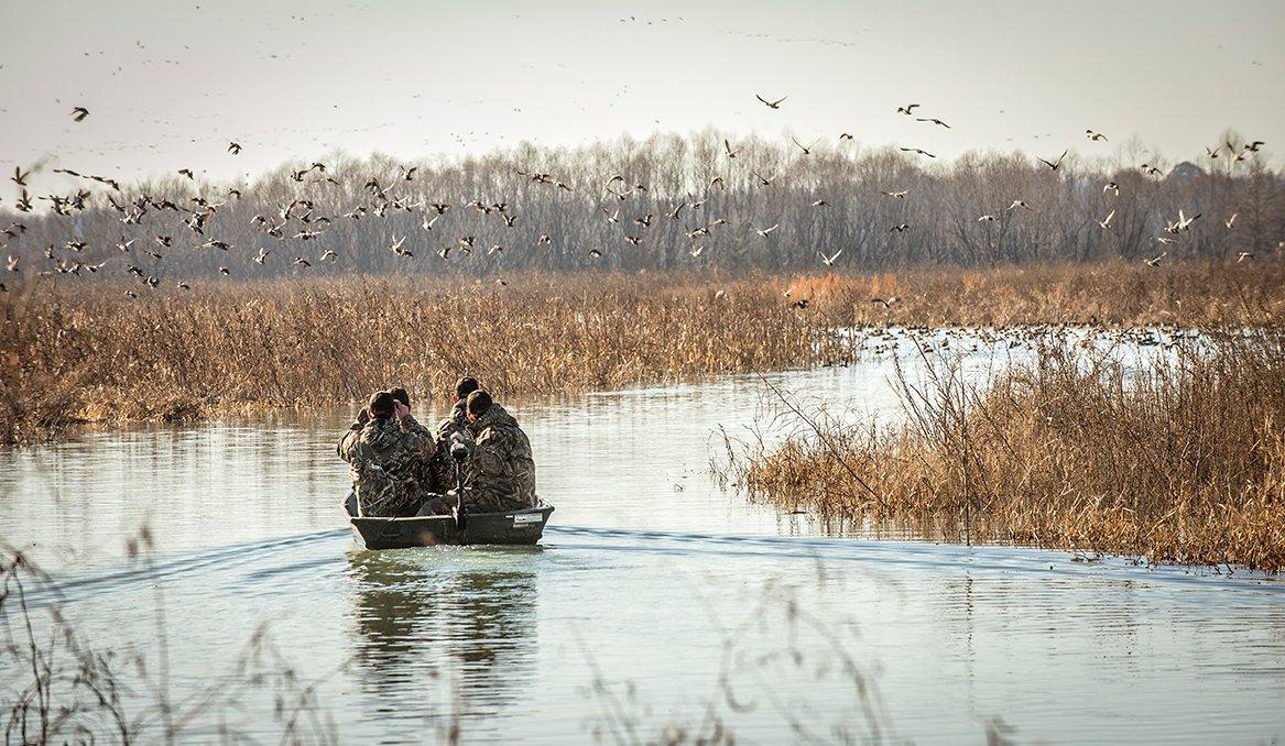 Pictures are helpful for learning duck identification, but there's no substitute for observing wild birds. Photo © Bill Konway