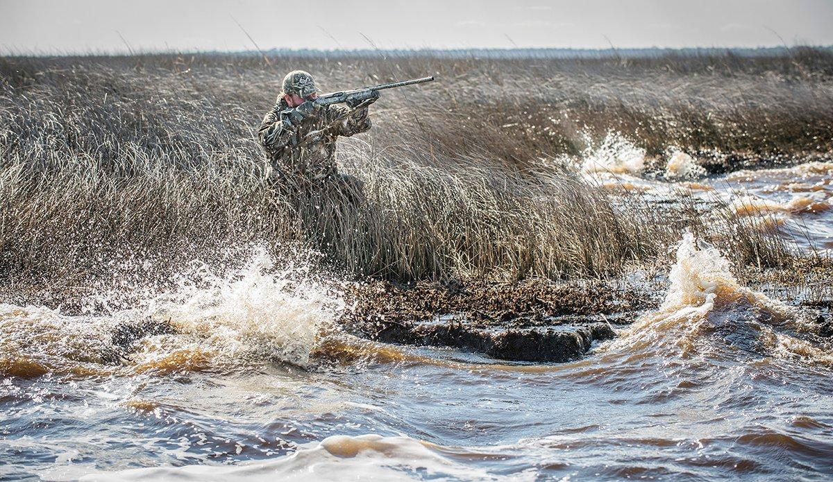 Be Bull-Headed About Conditions