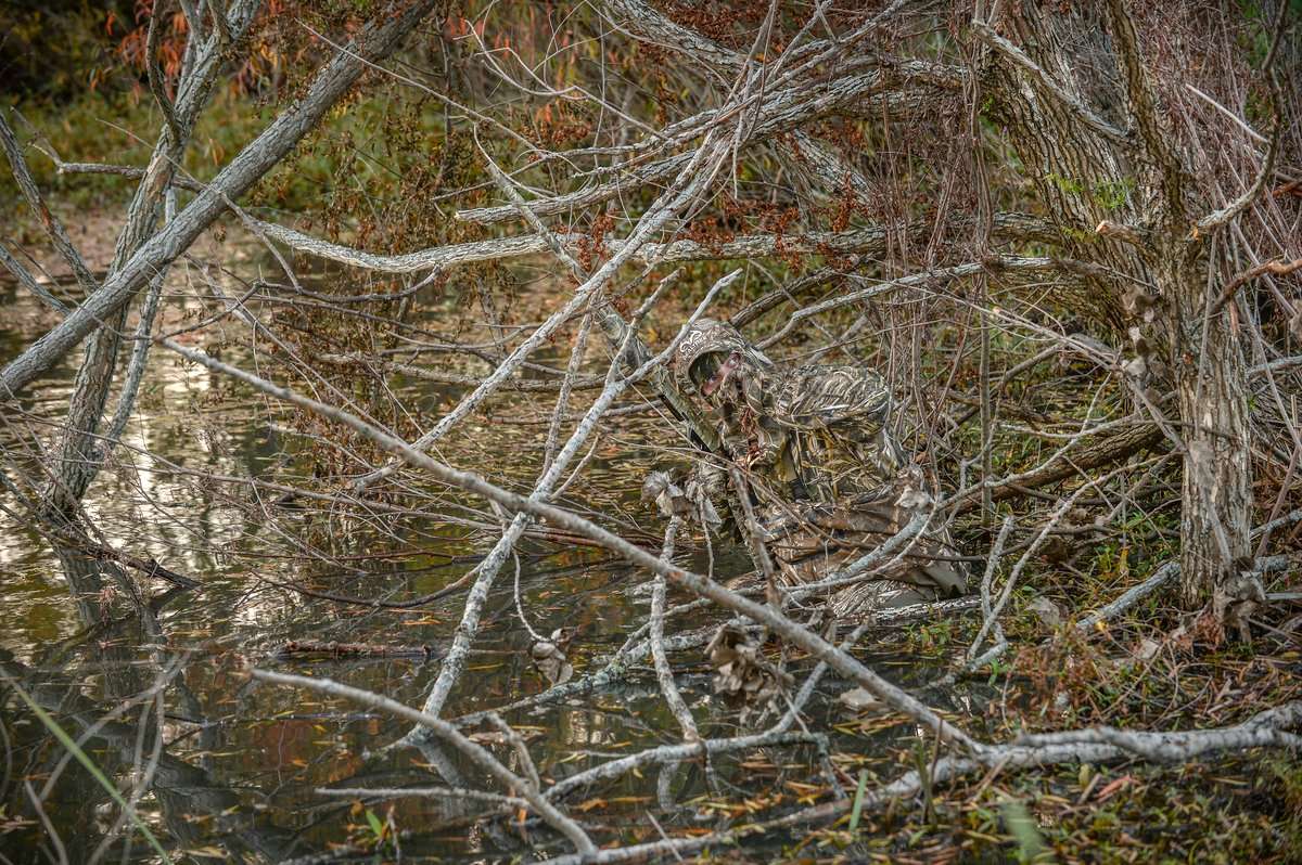 As usual, many northern Mississippi Flyway hunters focused on wood ducks during season openers. Photo © Bill Konway