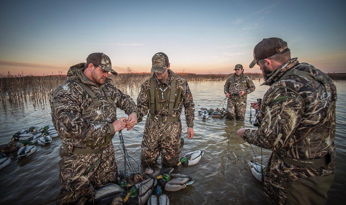 Researchers in a two-year ringneck project are learning more about the habits of this critically important duck. Photo © Bill Konway 