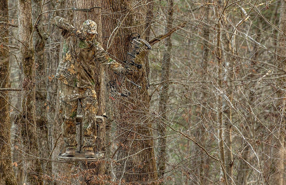 This one was a good mast year in many areas. Hit the ridges where you found acorns back in September. (Bill Konway Image)