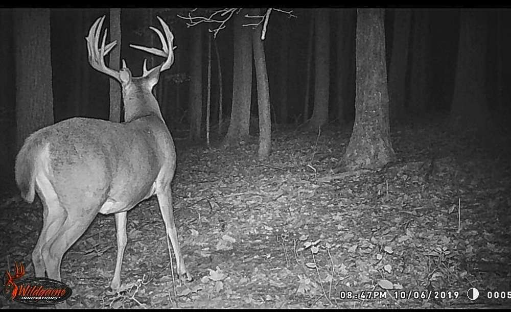 All of Clark's intel on the 195-inch buck was via trail camera, which captured only nighttime photos of the deer. (Photo courtesy of Jason Clark) All of Clark's intel on the 195-inch buck was via trail camera, which captured only nighttime photos of the deer. (Photo courtesy of Jason Clark)