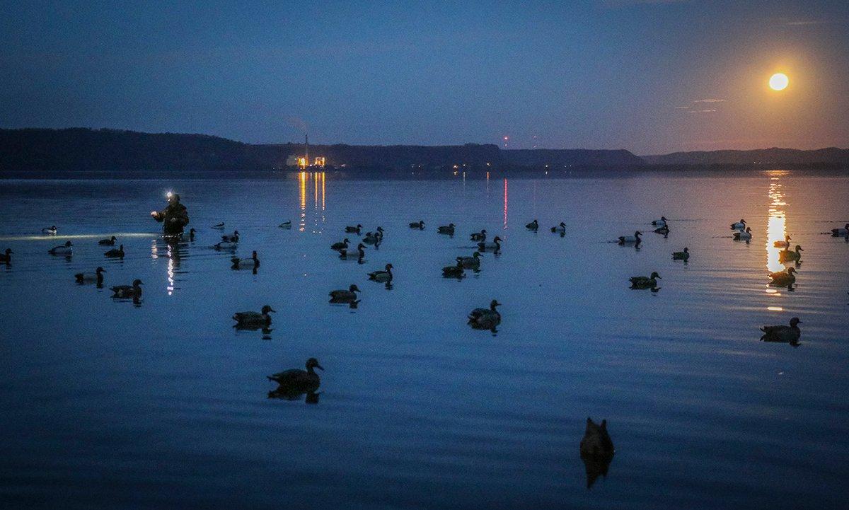 The November supermoon sets over Pool 9 of the Mississippi River. The canvasback show would soon begin. Photo © Brian Lovett