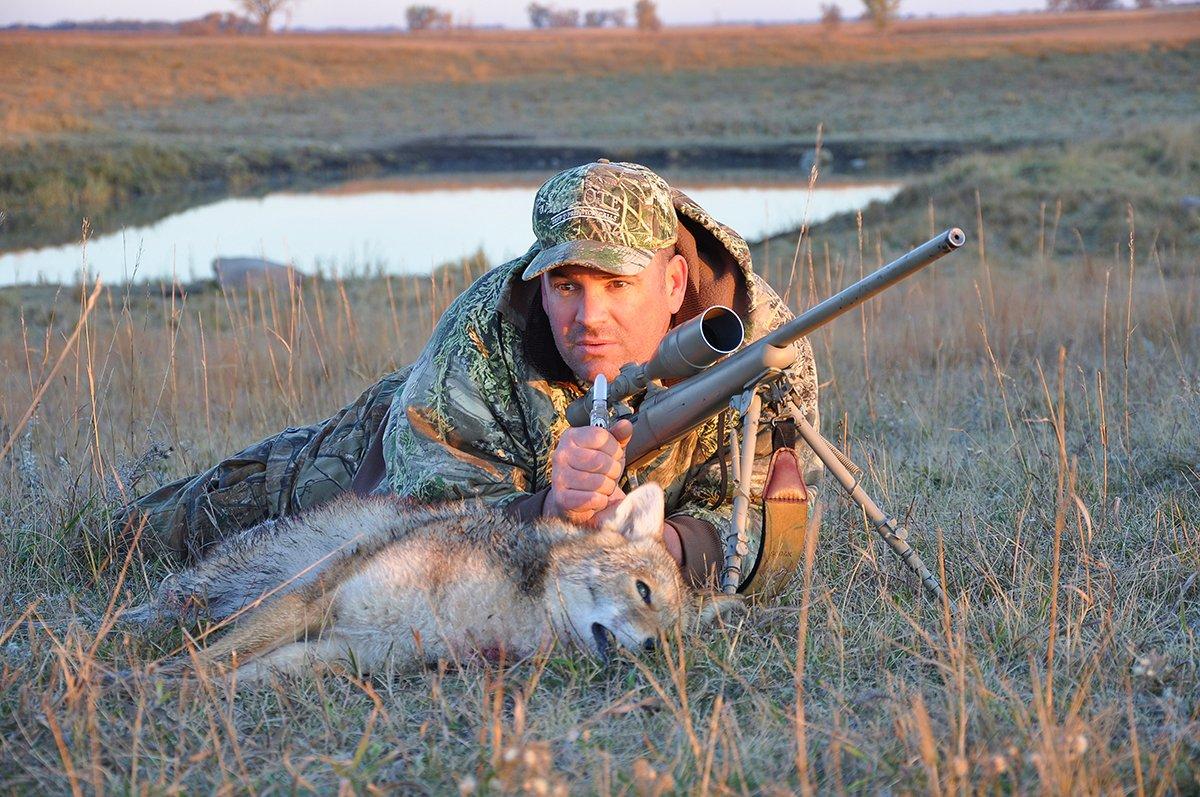Zepp learns plenty from coyotes he doesn't kill too. © Mark Zepp photo