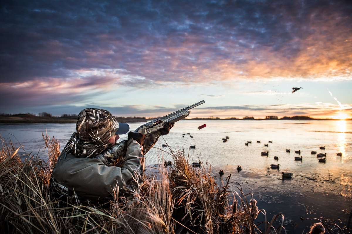 cmikereed-waterfowl-shooting?