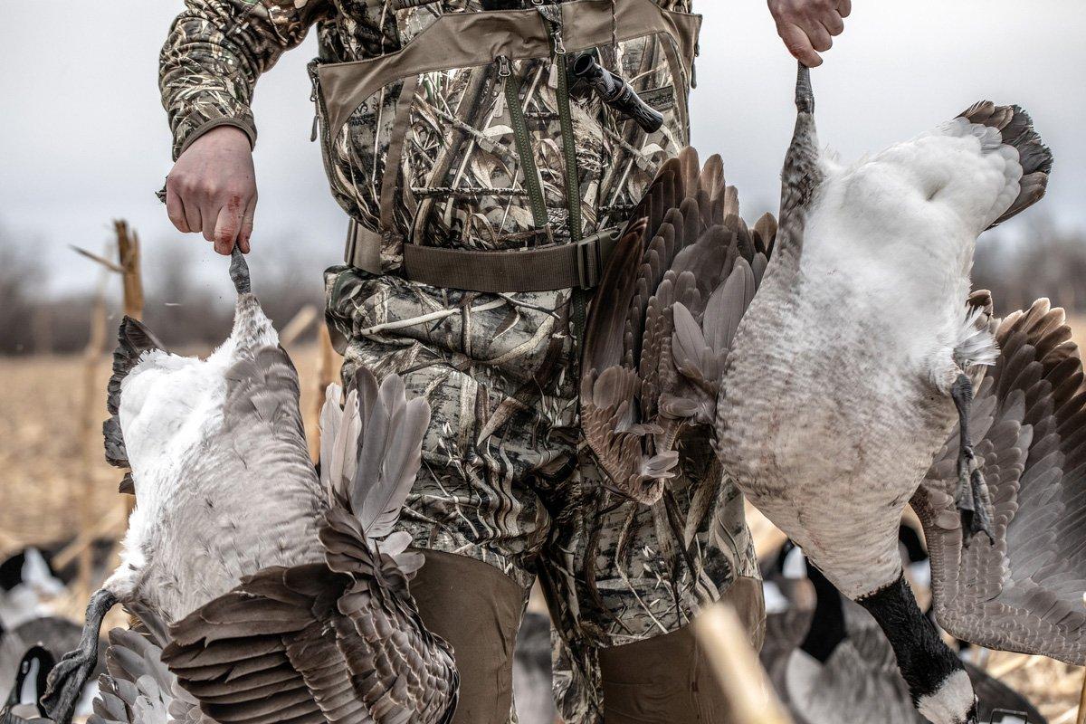 Canada geese don't always follow the rules. Sometimes, you have to respond in kind to turn the tables. Photo © Nick Costas