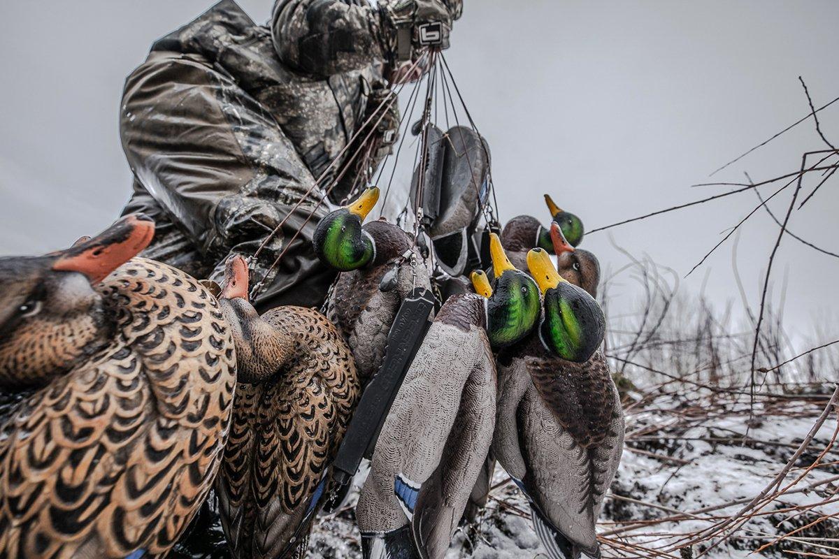 Concealment and realistic setups are paramount for fooling late-season mallards. Photo © Nick Costas