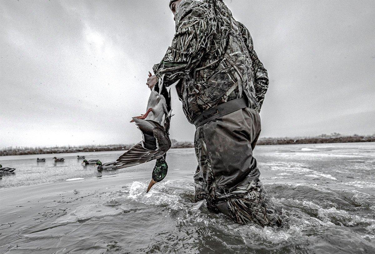 Some folks believe cloudy, rainy days are great for duck hunting. Most hunters believe otherwise. Photo © Nick Costas