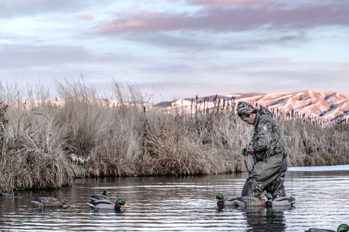 Utah hunters are working hard to find ducks and geese. Meanwhile, action to the north has slowed. Photo © Nick Costas