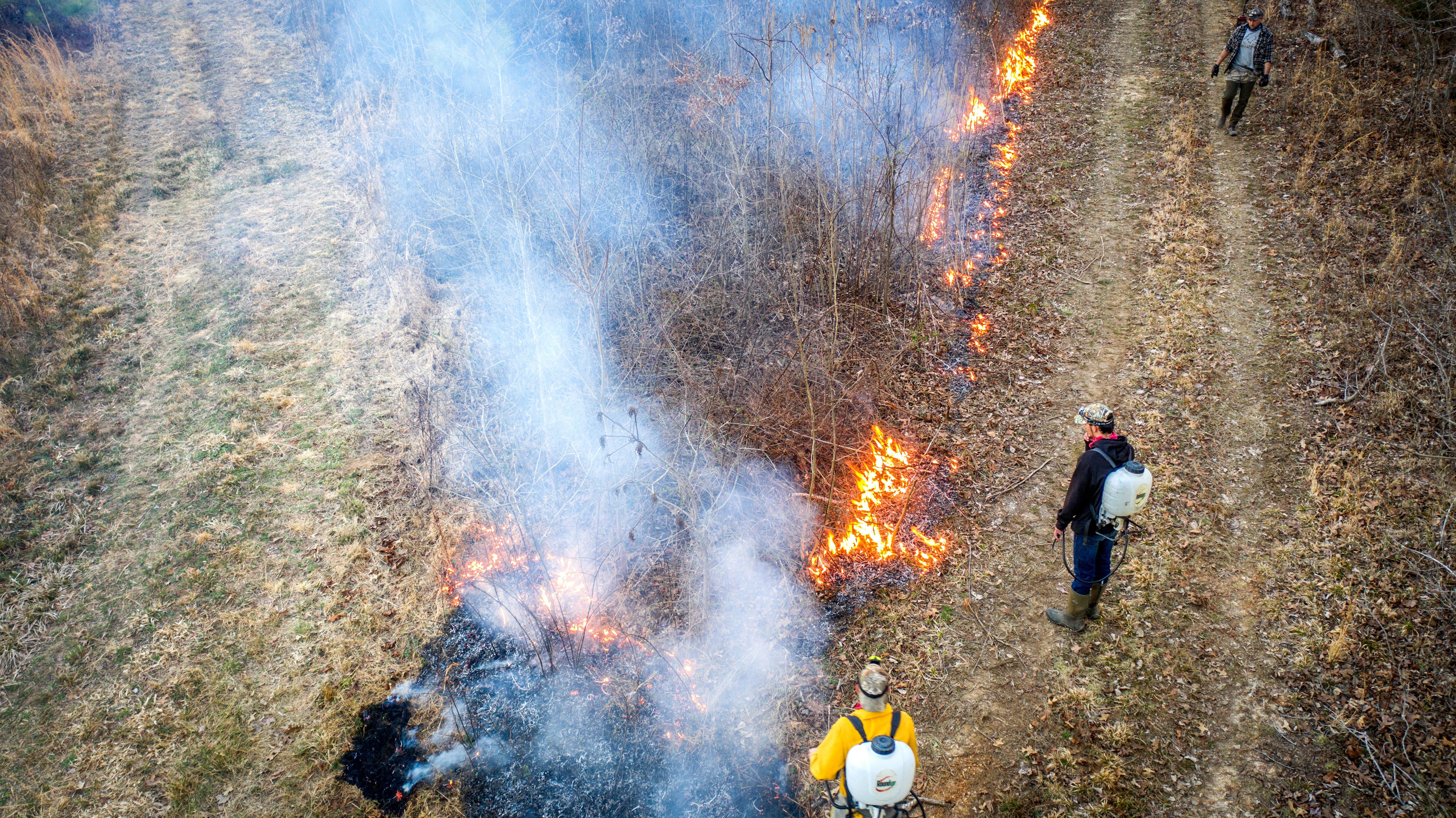 Image: controlled_burn_1