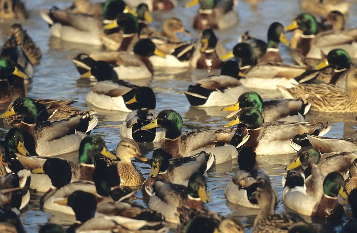 Photo © David Sams Photo © David Sams