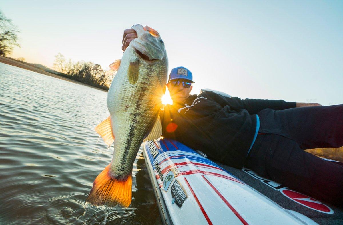 Jacob Wheeler's Small Swimbaits: When and Why