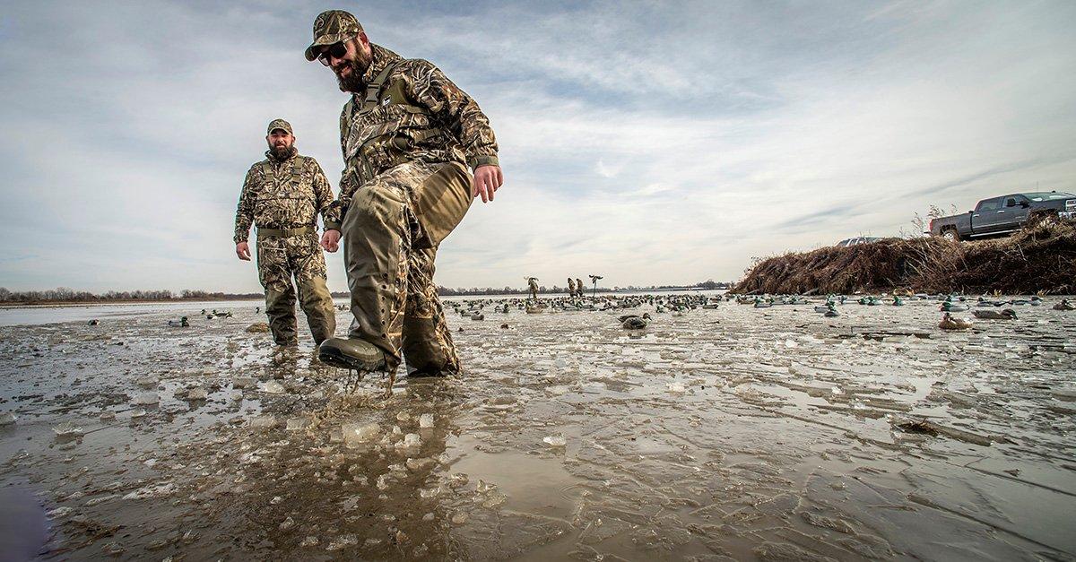 Who knows what the day might bring? Oddball ducks might surprise you. Photo © Banded