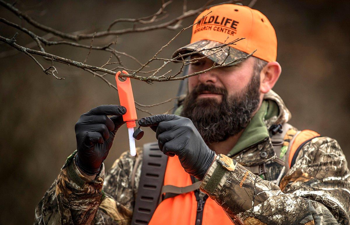 Blowing up mock scrapes and trails with fresh scent can be a dynamite late-season strategy. (Wildlife Research Photo)