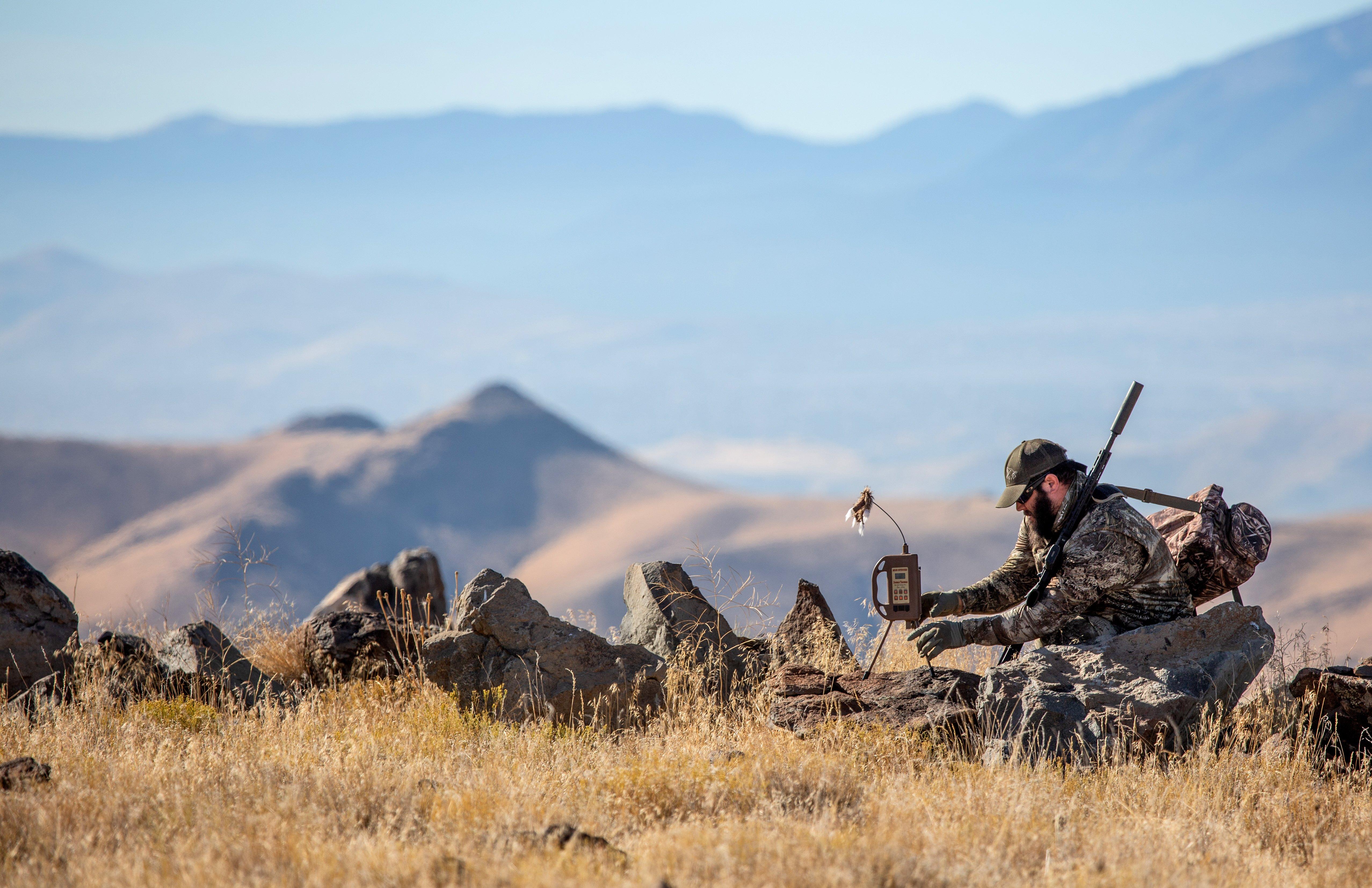 How to Pick the Right Sounds When Calling Coyotes - Realtree Camo