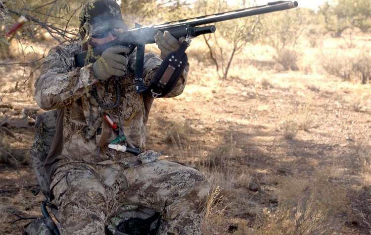 4 Guns Every Coyote Hunter Needs