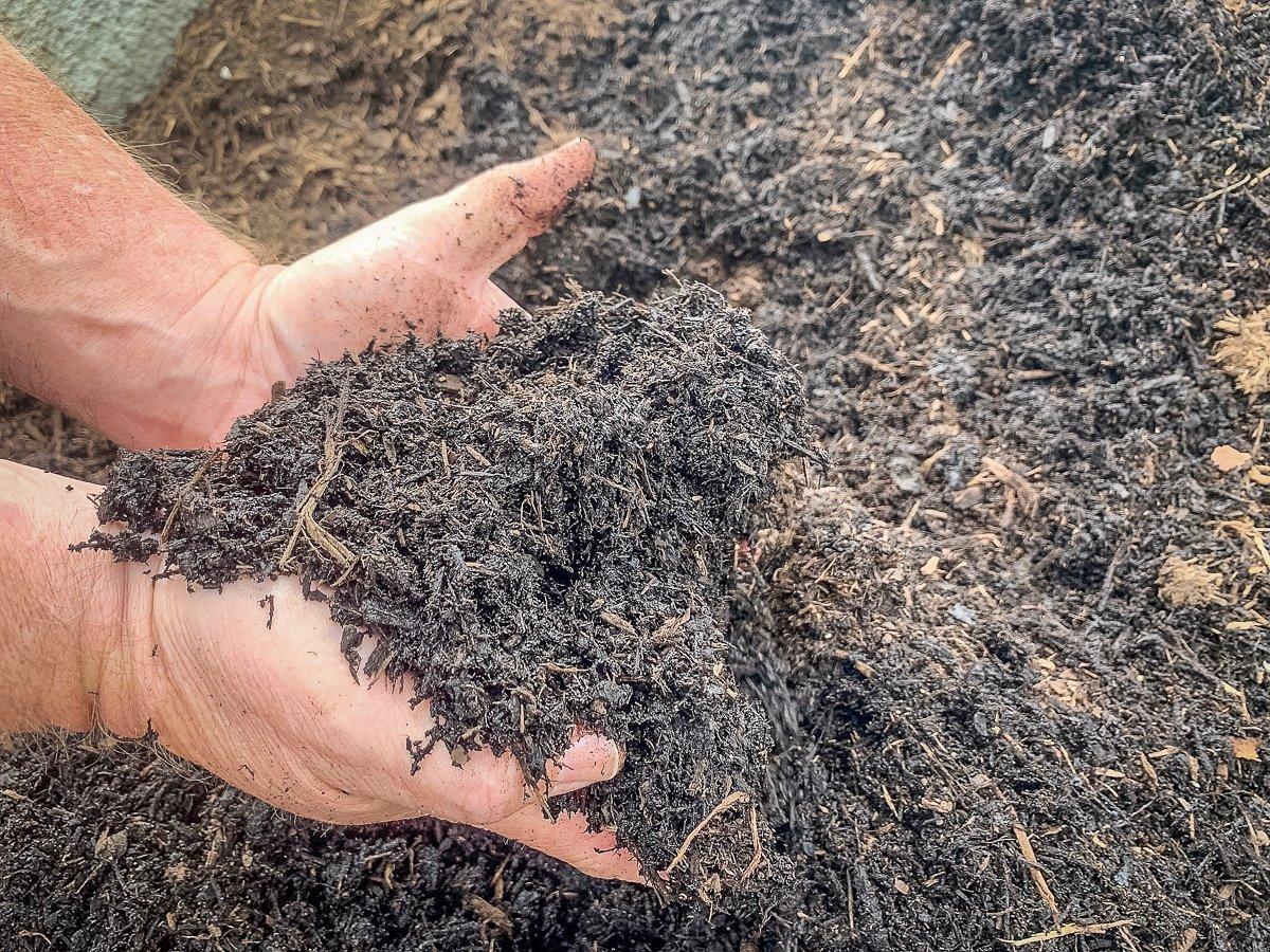 Compost made from horse manure and stall bedding is rich in nitrogen. (C. Pendley photo)